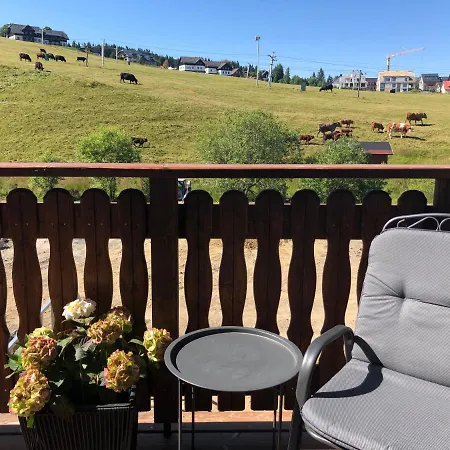 Strunzova Pila - S Wellness 2,06 A 3,03 Apartment Kvilda