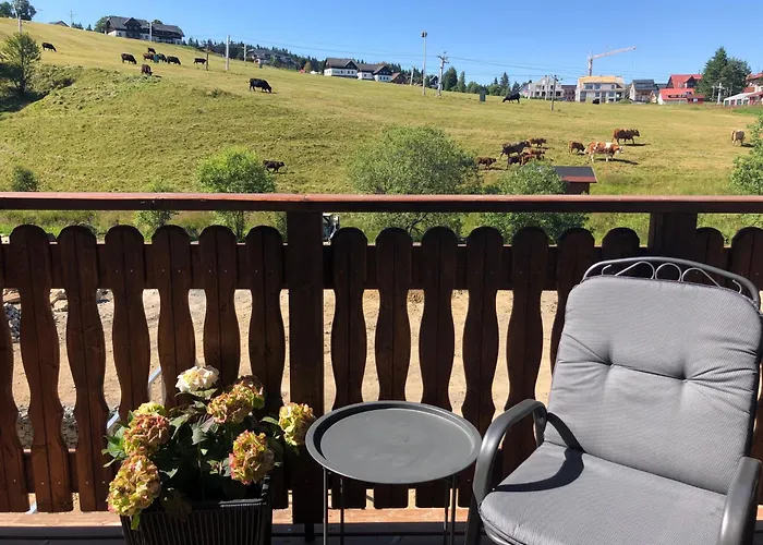 Strunzova Pila - S Wellness 2,06 A 3,03 *